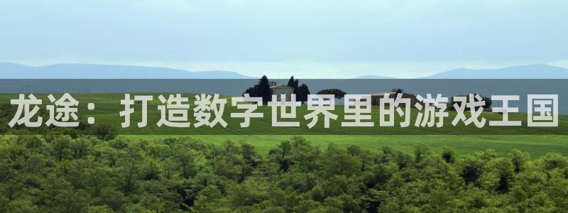 庄闲游戏APP：龙途：打造数字世界里的游戏王国