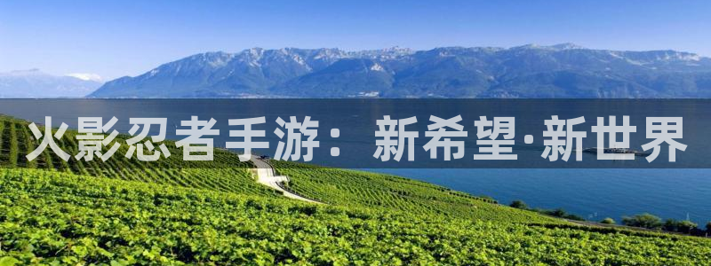 庄闲计划软件：火影忍者手游：新希望·新世界