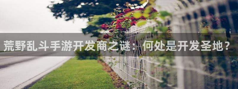 真人庄闲游戏官网：荒野乱斗手游开发商之谜：何处是开发圣地？