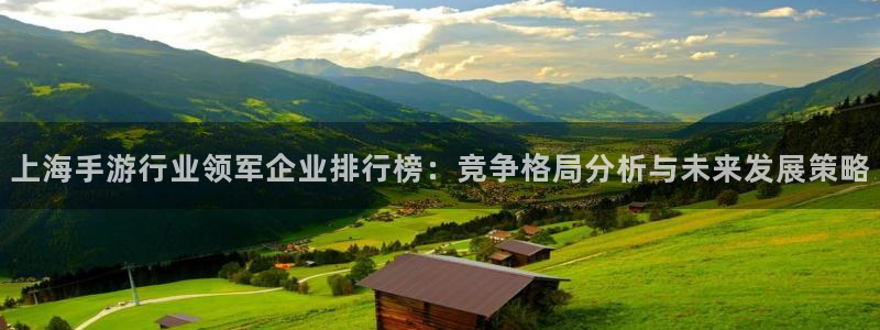 庄闲是什么颜色：上海手游行业领军企业排行榜：竞争格局分析与未