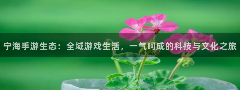 庄闲游戏官方版：宁海手游生态：全域游戏生活，一气呵成的科技与