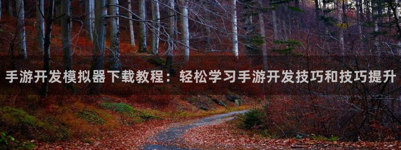 庄闲游戏规则和玩法：手游开发模拟器下载教程：轻松学习手游开发