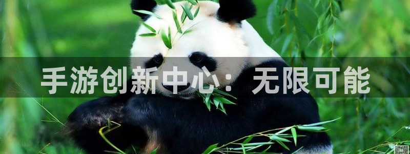 庄闲游戏苹果app：手游创新中心：无限可能