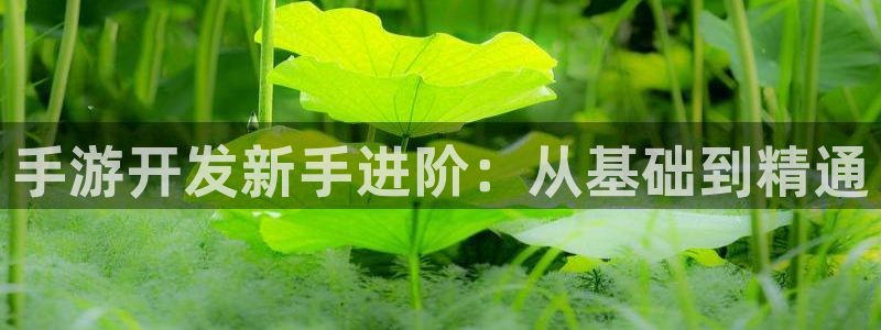 庄闲和游戏规则详解：手游开发新手进阶：从基础到精通