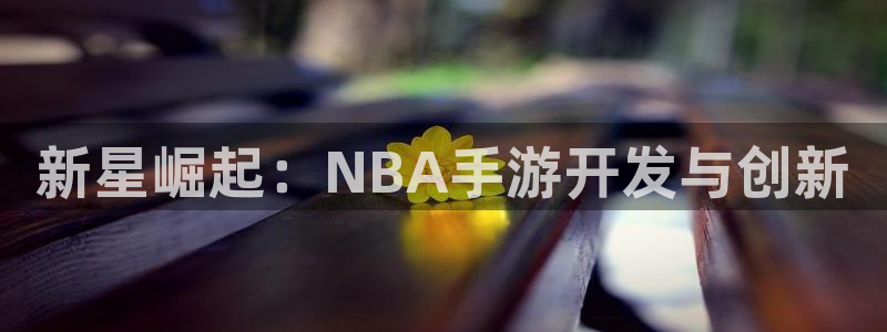 庄闲游戏兑换：新星崛起：NBA手游开发与创新