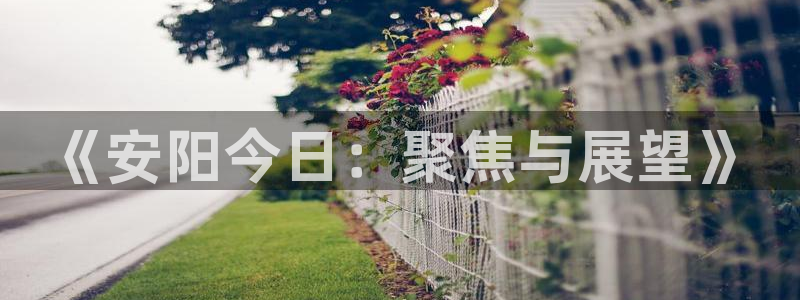 51视频在线直播nba：《安阳今日：聚焦与展望》