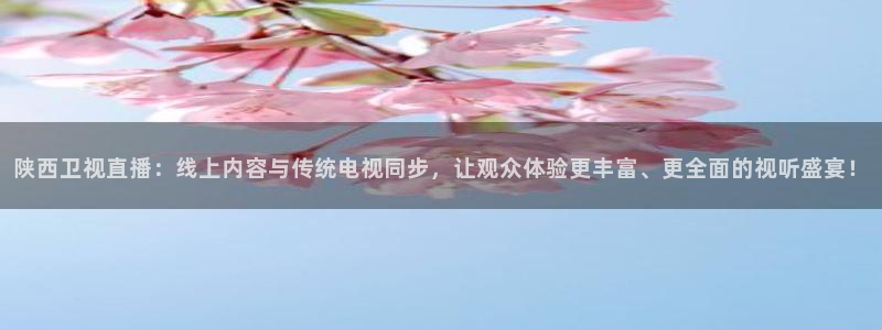 51视频在线直播nba：陕西卫视直播：线上内容与传统电视同步，让观众体验更丰富、更全面的视听盛宴！