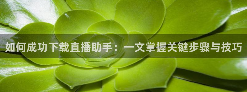 51视频在线直播nba：如何成功下载直播助手：一文掌握关键步骤与技巧