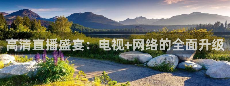 51视频在线直播nba：高清直播盛宴：电视+网络的全面升级
