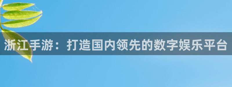 庄闲和游戏有限公司：浙江手游：打造国内领先的数字娱乐平台