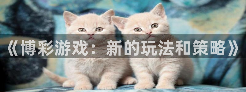 庄闲和游戏：《博彩游戏：新的玩法和策略》