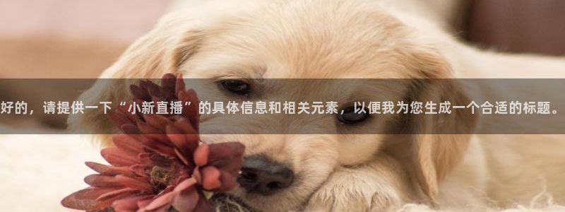 51视频在线直播nba：好的，请提供一下“小新直播”的具体信息和相关元素，以便我为您生成一个合适的标题。