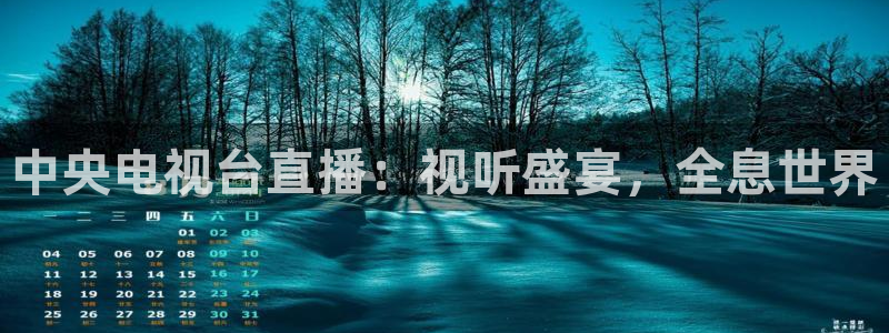 51视频在线直播nba：中央电视台直播：视听盛宴，全息世界