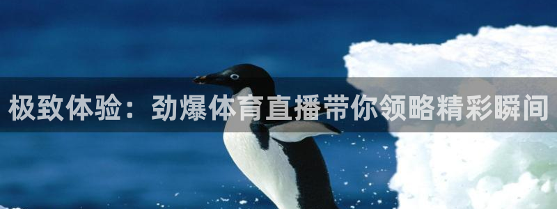 51视频在线直播nba：极致体验：劲爆体育直播带你领略精彩瞬间