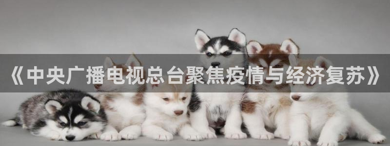 51视频在线直播nba：《中央广播电视总台聚焦疫情与经济复苏》