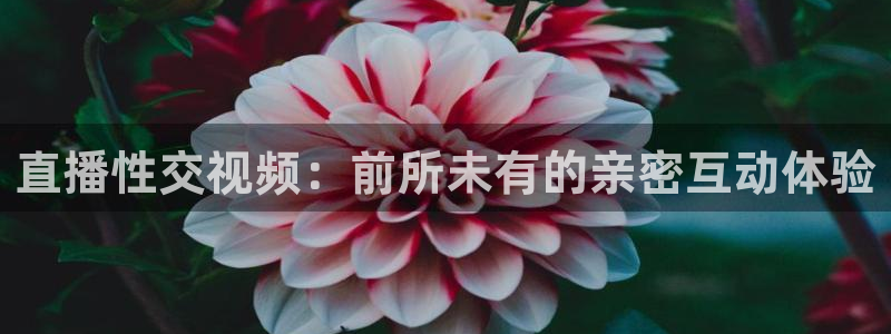 51视频在线直播nba：直播性交视频：前所未有的亲密互动体验