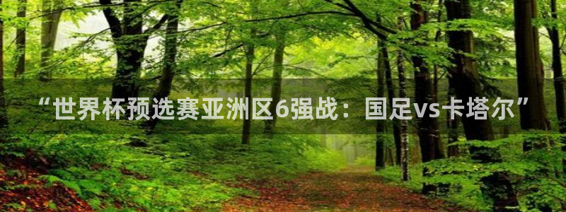51视频在线直播nba：“世界杯预选赛亚洲区6强战：国足vs卡塔尔”